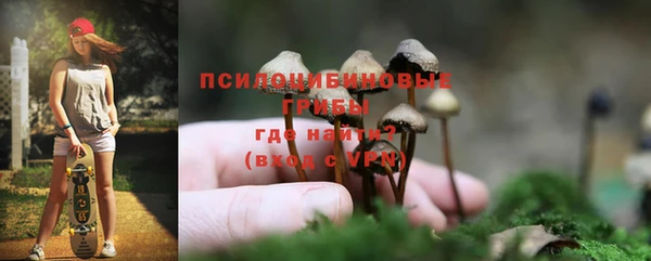 СК Губаха