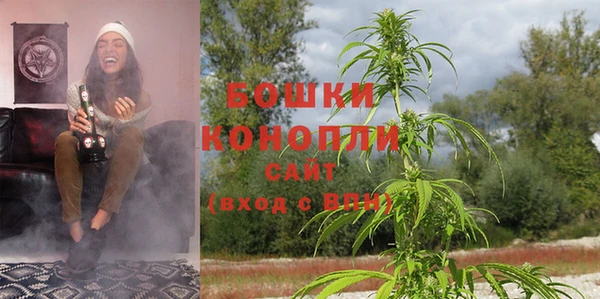 трава Покачи