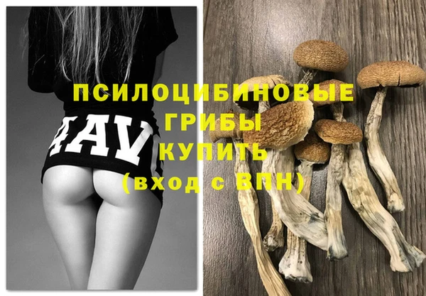 spice Покров