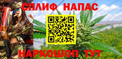 прущие грибы Кингисепп