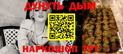 прущие грибы Кингисепп