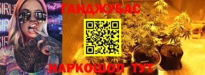 прущие грибы Кингисепп